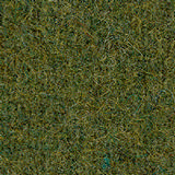 Pugirg Fenice 1219.jpg